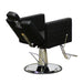 Fab All Purpose Chair - Deco Salon - Styling Chairs