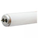 Uv Light - 48 40 Watts Ge Fluorescent Bulb F40Bl - Deco Salon - Tools & Accessories